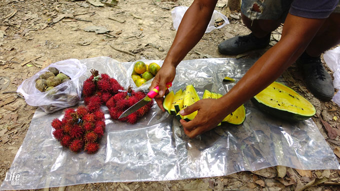 Frühstück Orang Utan Tour Bukit Lawang