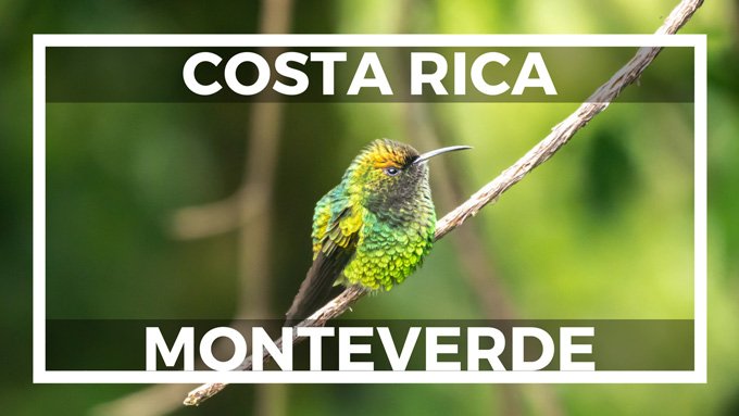 Curi Cancha Reserve Monteverde